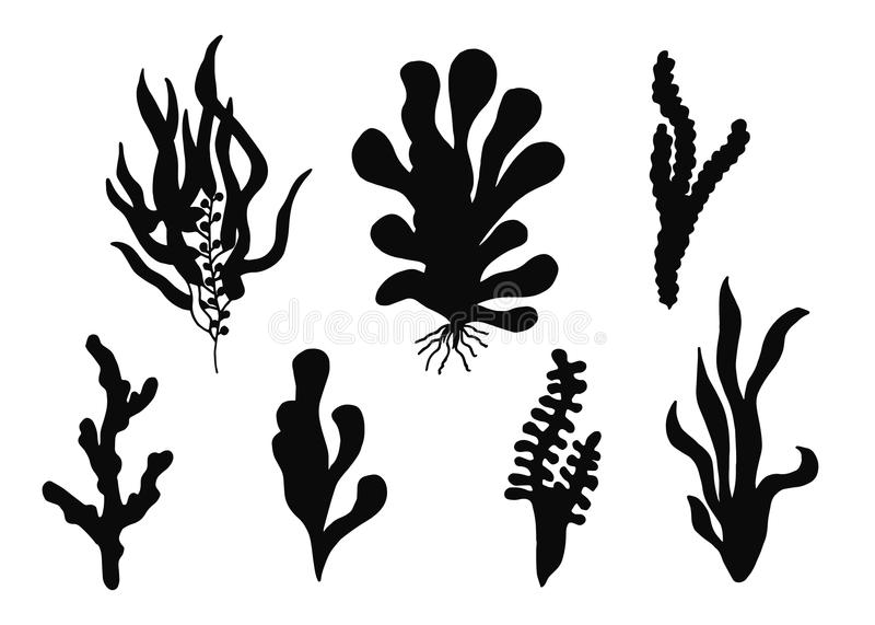 火狐电竞官方网站