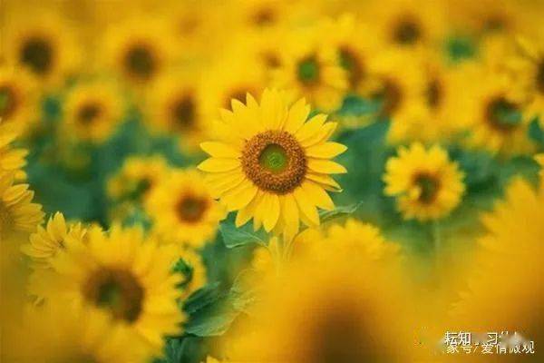 
人生没有彩排 无法重来 天天都是现场直播_火狐电竞官方网站(图4)