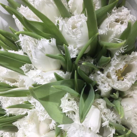 火狐电竞官方网站