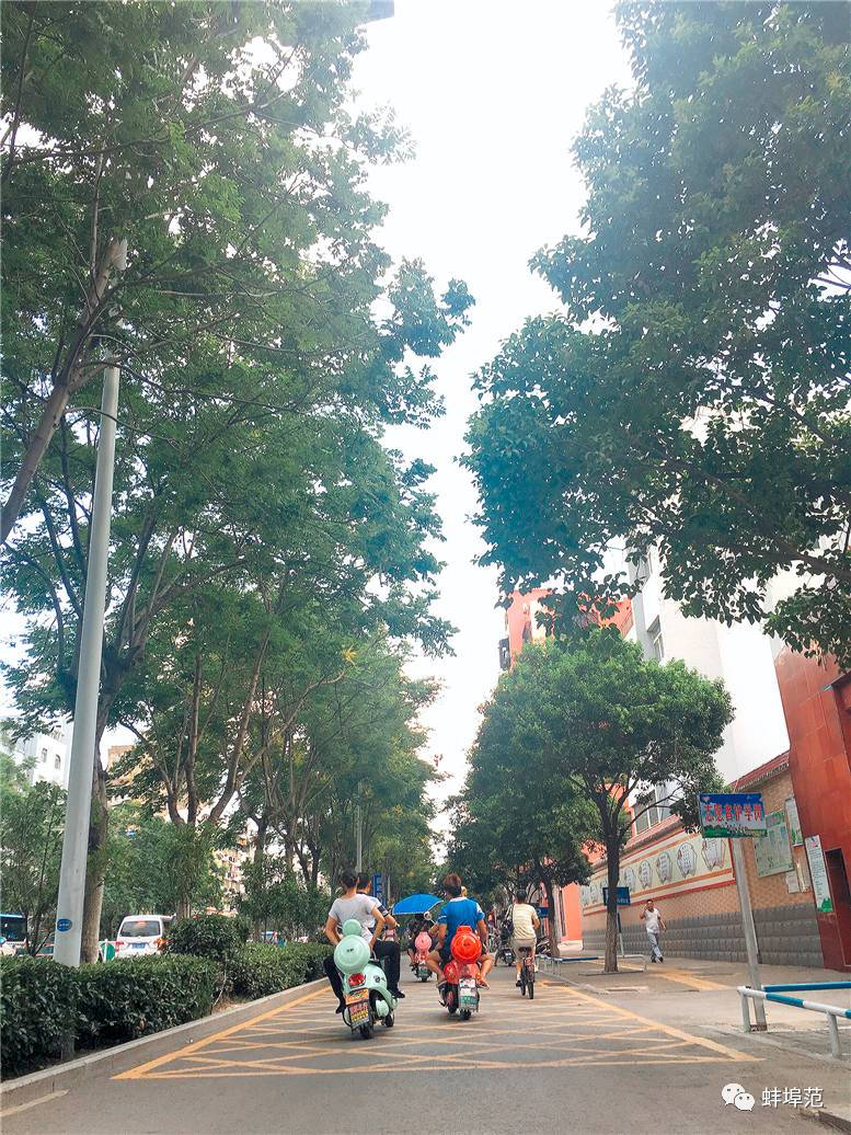 火狐电竞官方网站