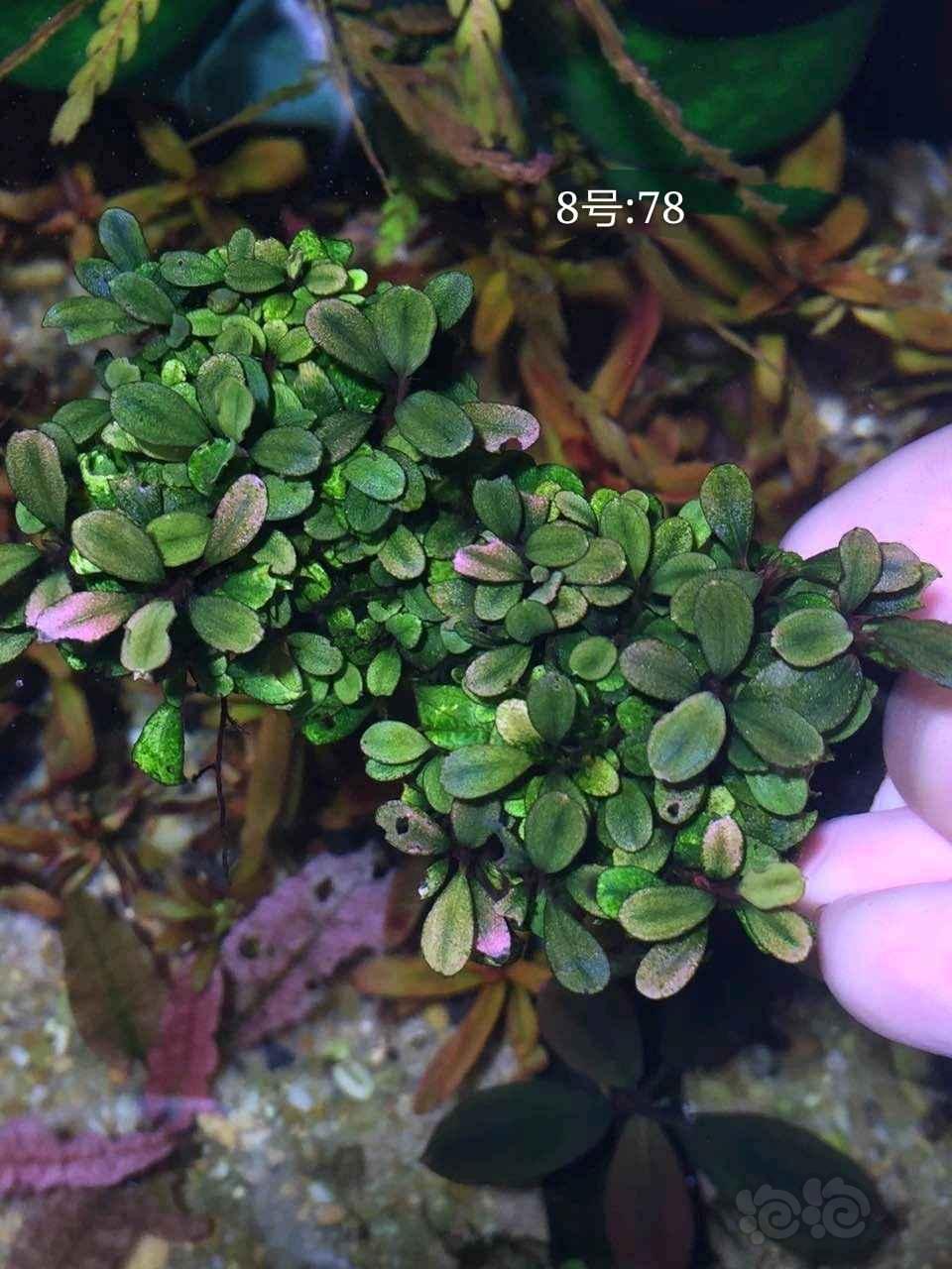 火狐电竞官方网站